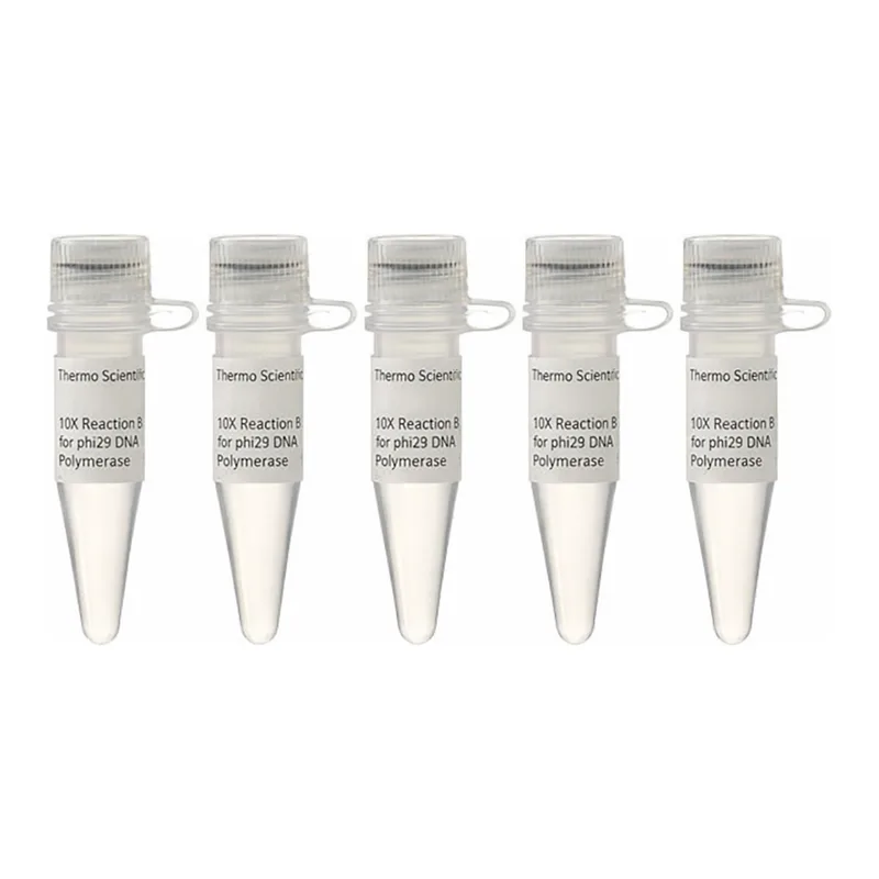 Thermo Fisher Scientific Reaction Buffer for phi29 DNA Polymerase (10X)