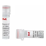Merck MISSION(R) esiRNA