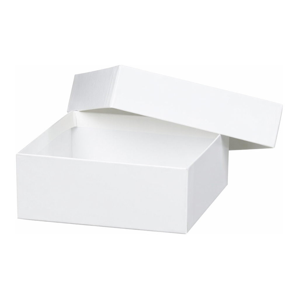 Thermo Fisher Scientific Storage Fiberboard Box, 2 in. (50 mm)