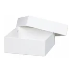 Thermo Fisher Scientific Storage Fiberboard Box, 2 in. (50 mm)