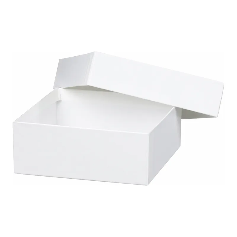 Thermo Fisher Scientific Storage Fiberboard Box, 2 in. (50 mm)