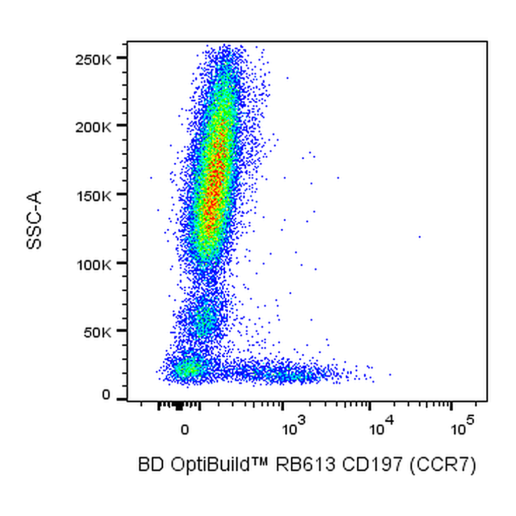 BD RB613 Rat Anti-Human CD197 (CCR7)