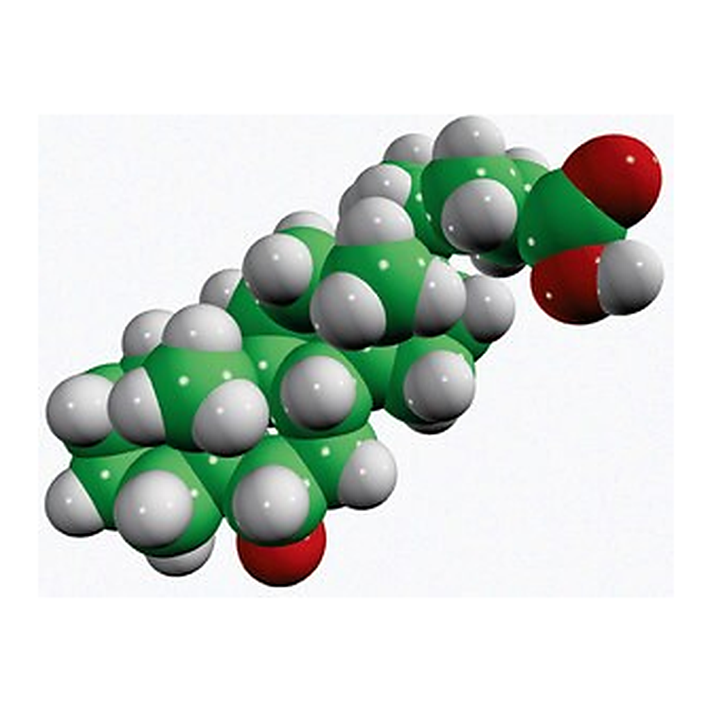 Merck HYOCHOLIC ACID