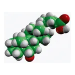 Merck HYOCHOLIC ACID