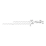 Merck C24:1 GLUCOSYL( BETA) CERAMIDE (D18:1/2&