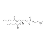 Merck 06:0 PC (DHPC)
