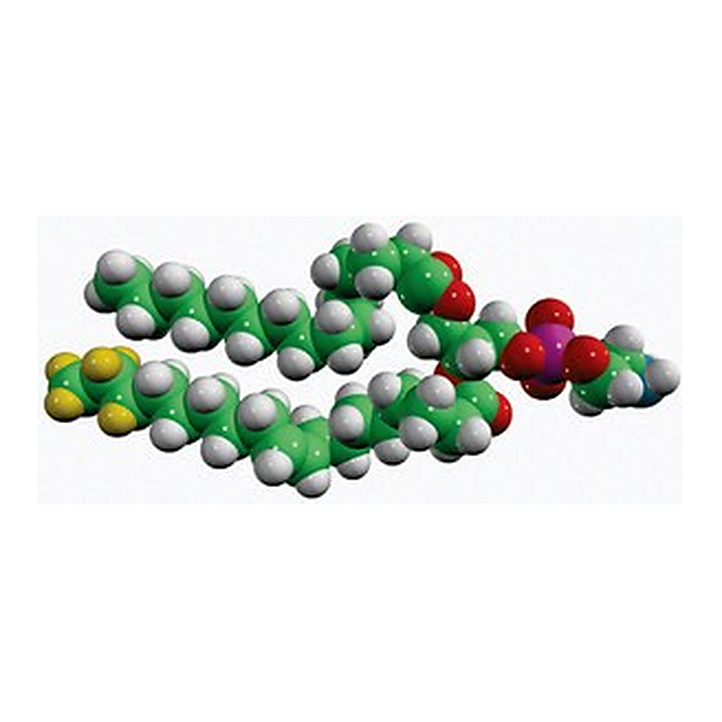 Merck 15:0-18:1-D7-PE