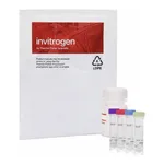 Thermo Fisher Scientific EnzChek Phospholipase A1 Assay Kit