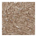 Atlas Antibodies Anti-SGCA Antibody