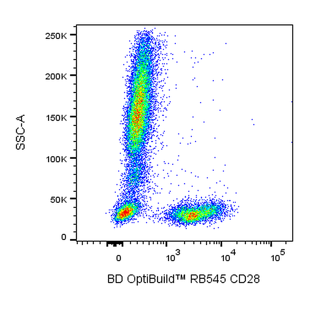 BD RB545 Mouse Anti-Human CD28