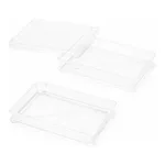 AS ONE Crystal Container PS, 크리스탈 컨테이너 PS