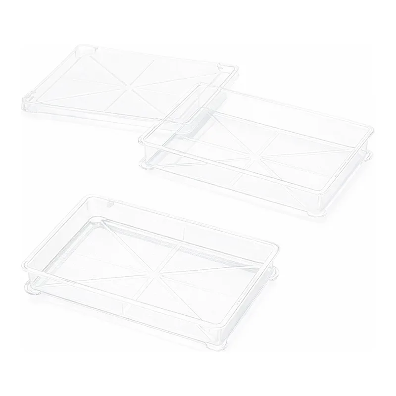 AS ONE Crystal Container PS, 크리스탈 컨테이너 PS