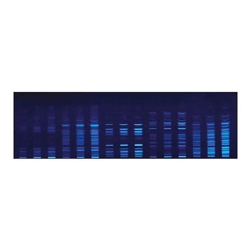 Merck HPTLC PLATES PREMIUM PURITY FOR PHARMACO