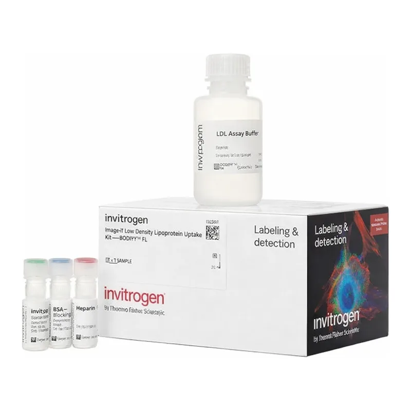 Thermo Fisher Scientific Image-iT Low Density Lipoprotein Uptake Kit, Bodipy FL