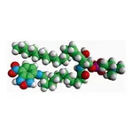 Merck C12-NBD SPHINGOMYELIN