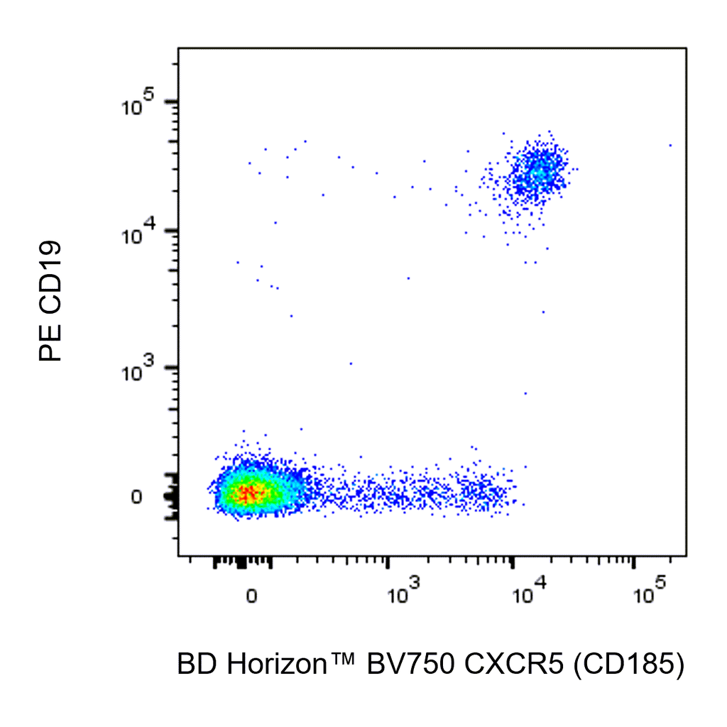 BD BV750 Rat Anti-Human CXCR5 (CD185)