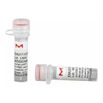 Merck MISSION(R) esiRNA
