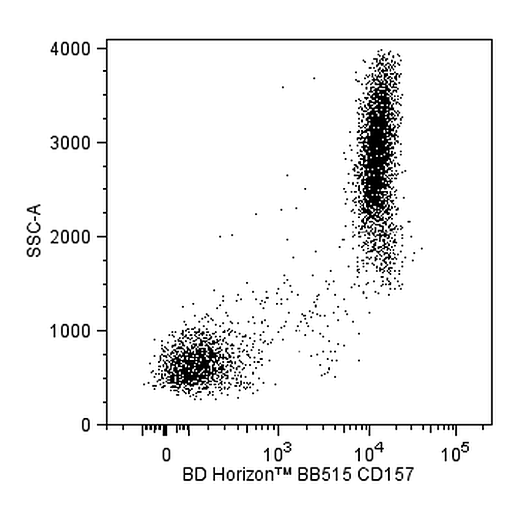 BD BB515 Mouse Anti-Human CD157