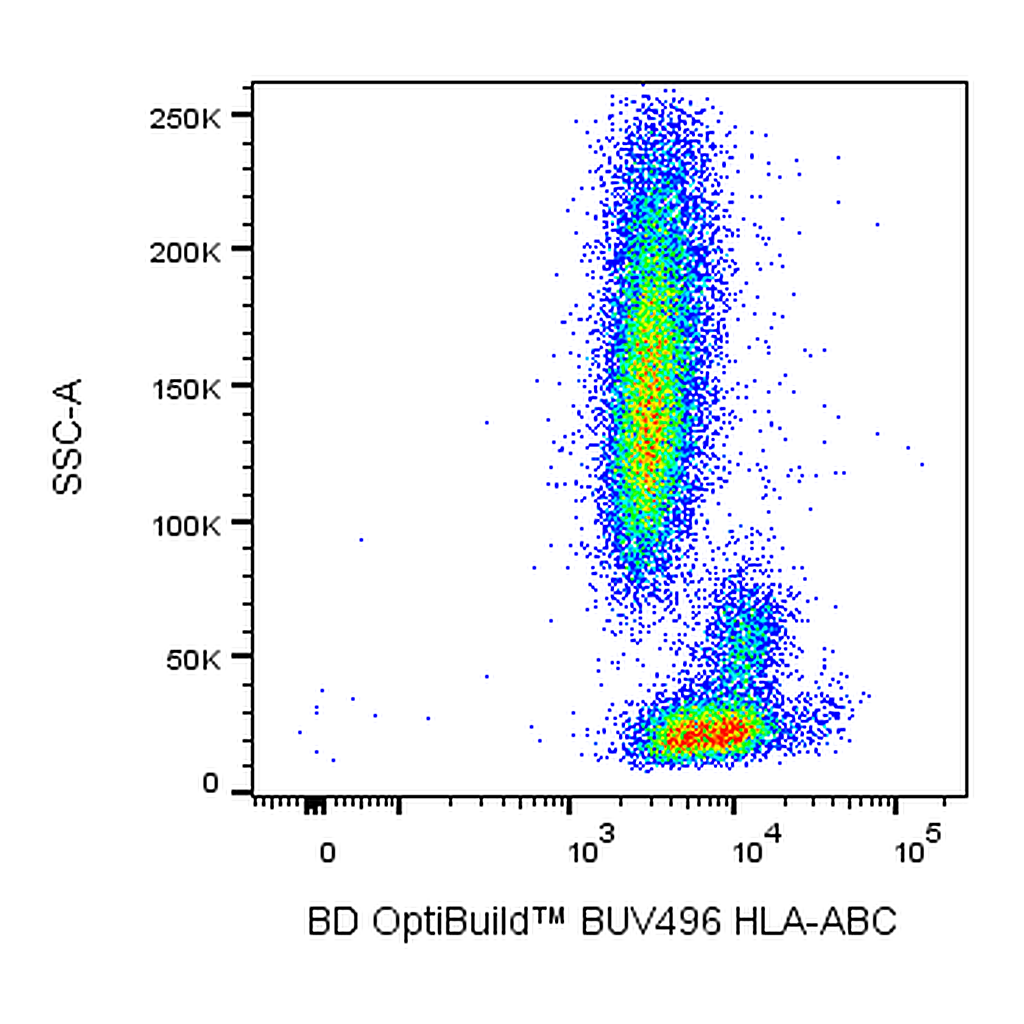 BD BUV496 Mouse Anti-Human HLA-ABC