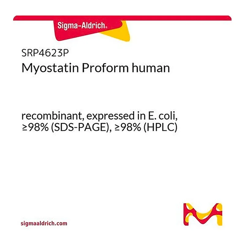 Merck Myostatin Proform human