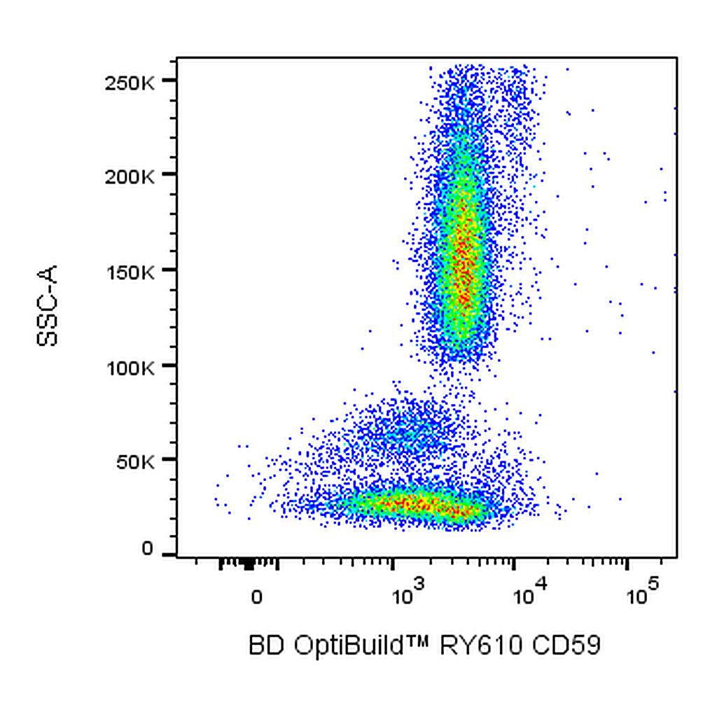 BD RY610 Mouse Anti-Human CD59