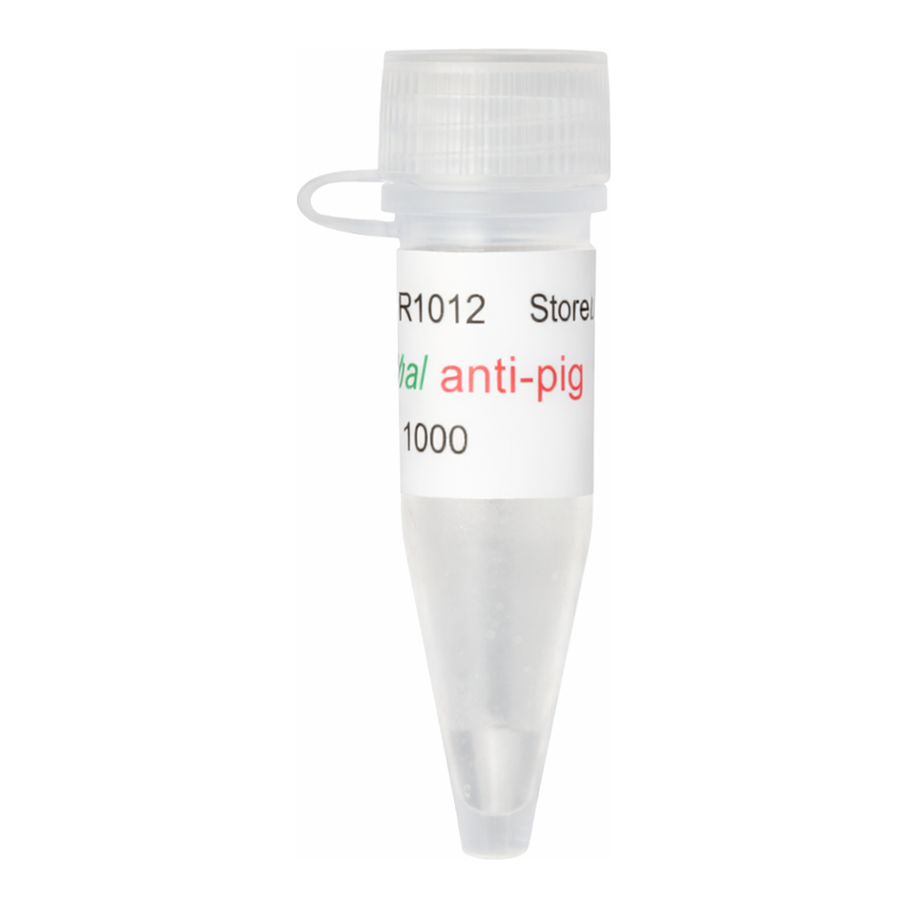 Kindle Biosciences DIGITAL ANTI-PIG IGG-HRP