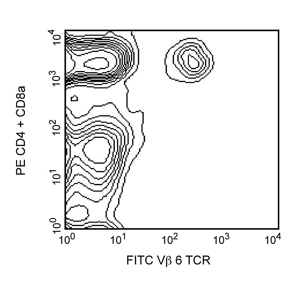 BD FITC Rat Anti-Mouse Vβ 6 T-Cell Receptor