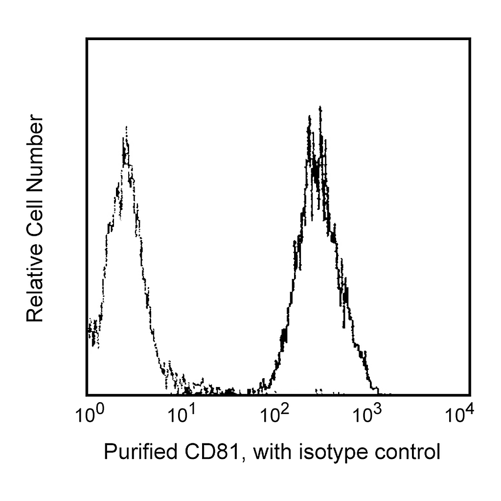 BD Purified Mouse Anti-Human CD81