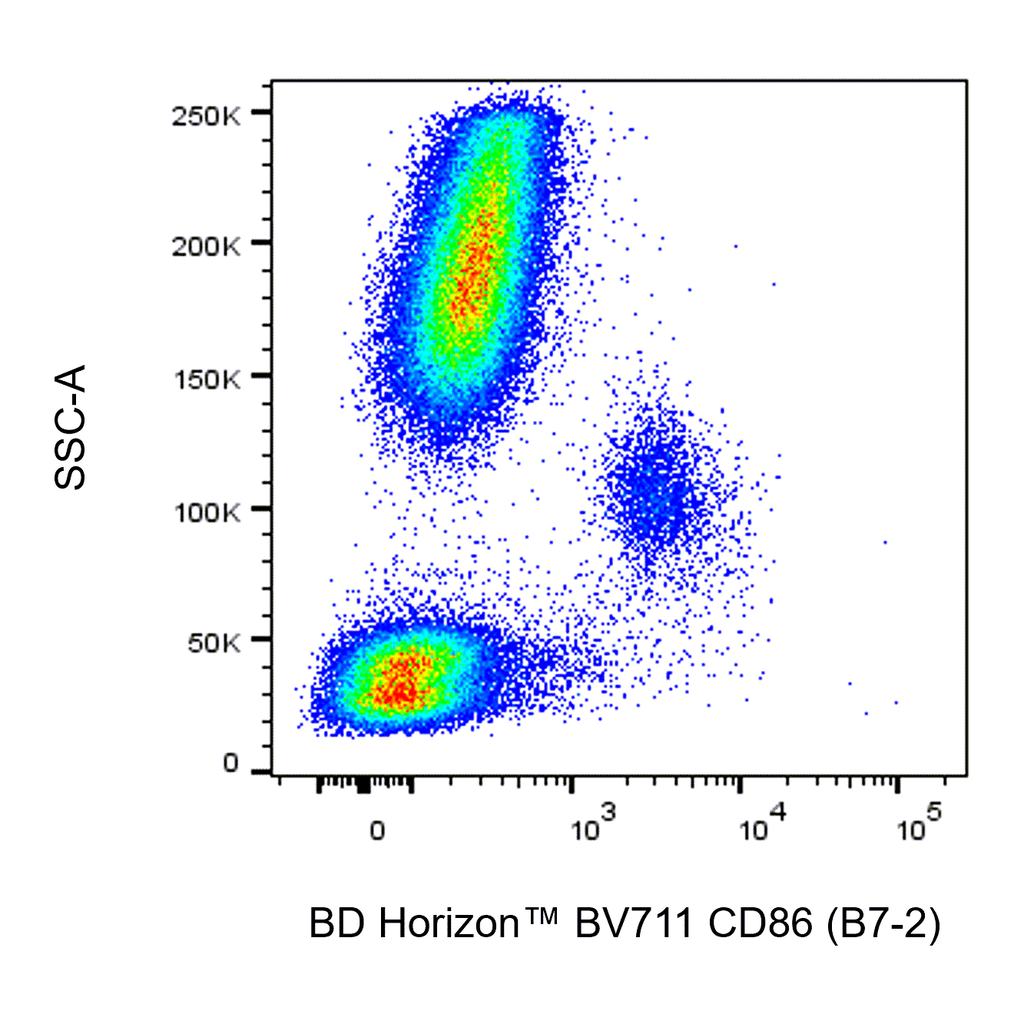 BD BV711 Mouse Anti-Human CD86 (B7-2)