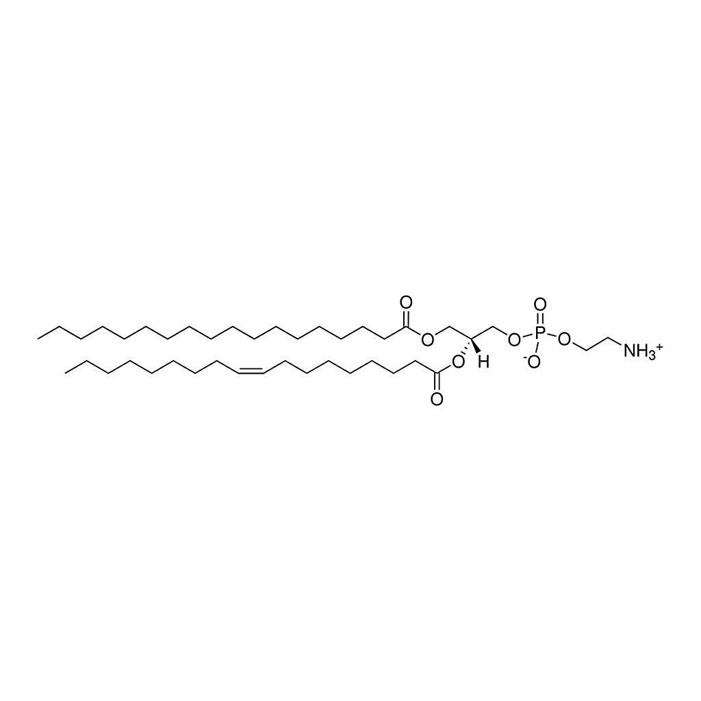 Merck Brain PE