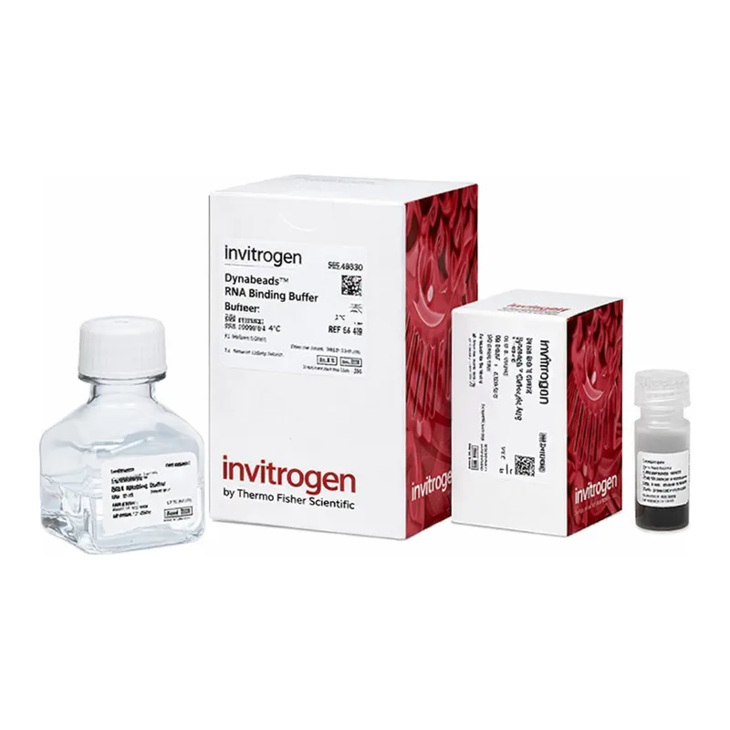 Thermo Fisher Scientific Dynabeads RNA Purification Kit, 2 mL