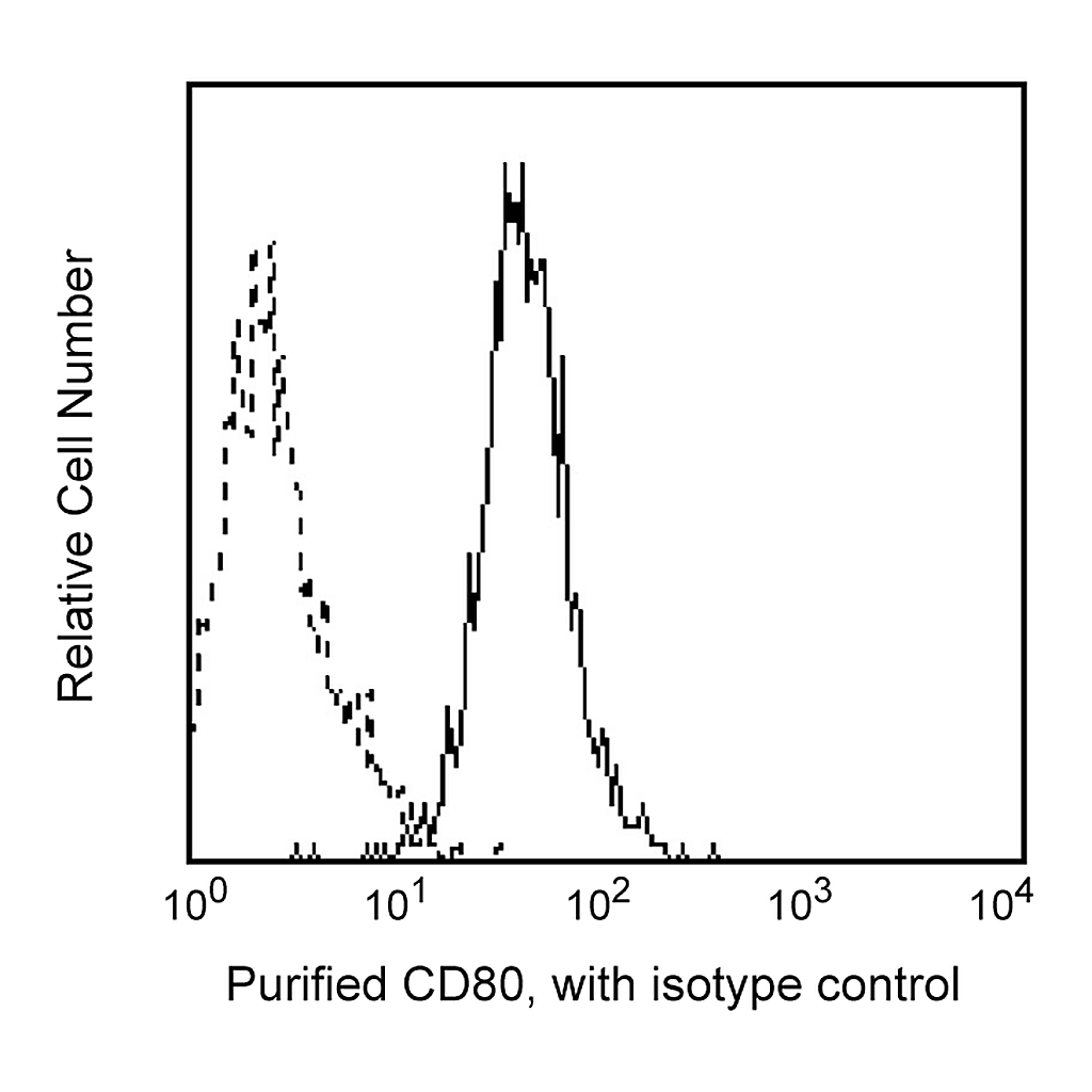 BD Purified Mouse Anti-Human CD80