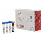 Thermo Fisher Scientific MIP-4 Human ProcartaPlex Simplex Kit