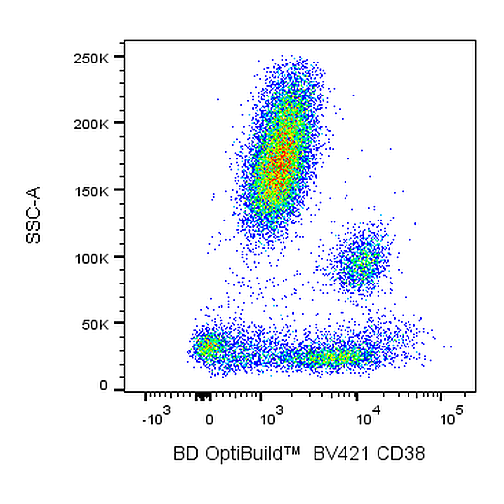 BD BV421 Mouse Anti-Human CD38