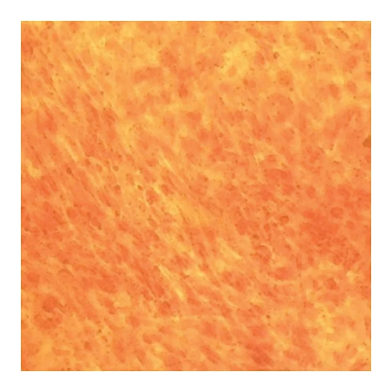 Himedia HiPer® Teaching Kit for Osteogenic Differentiation and Staining