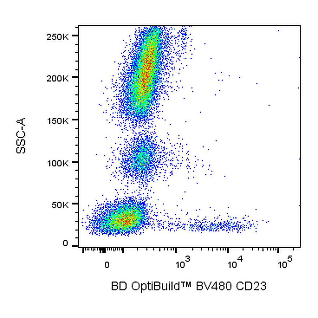 BD BV480 Mouse Anti-Human CD23