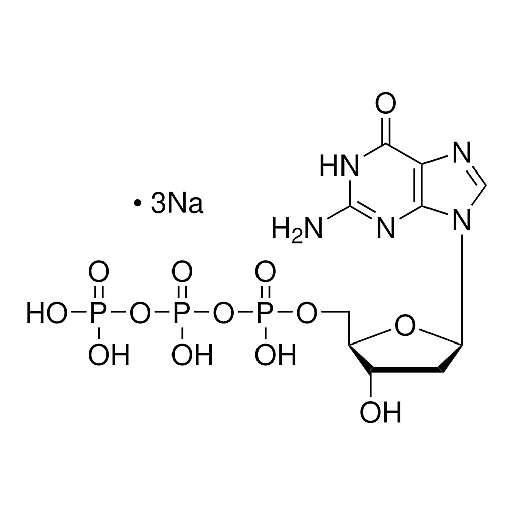 Merck dGTP