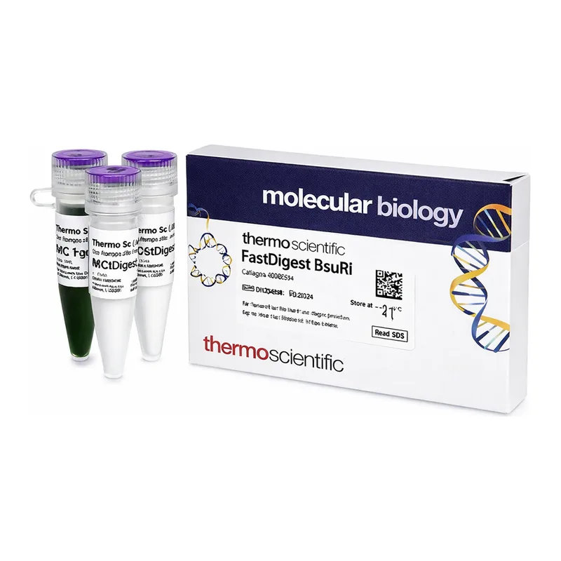 Thermo Fisher Scientific FastDigest BsuRI