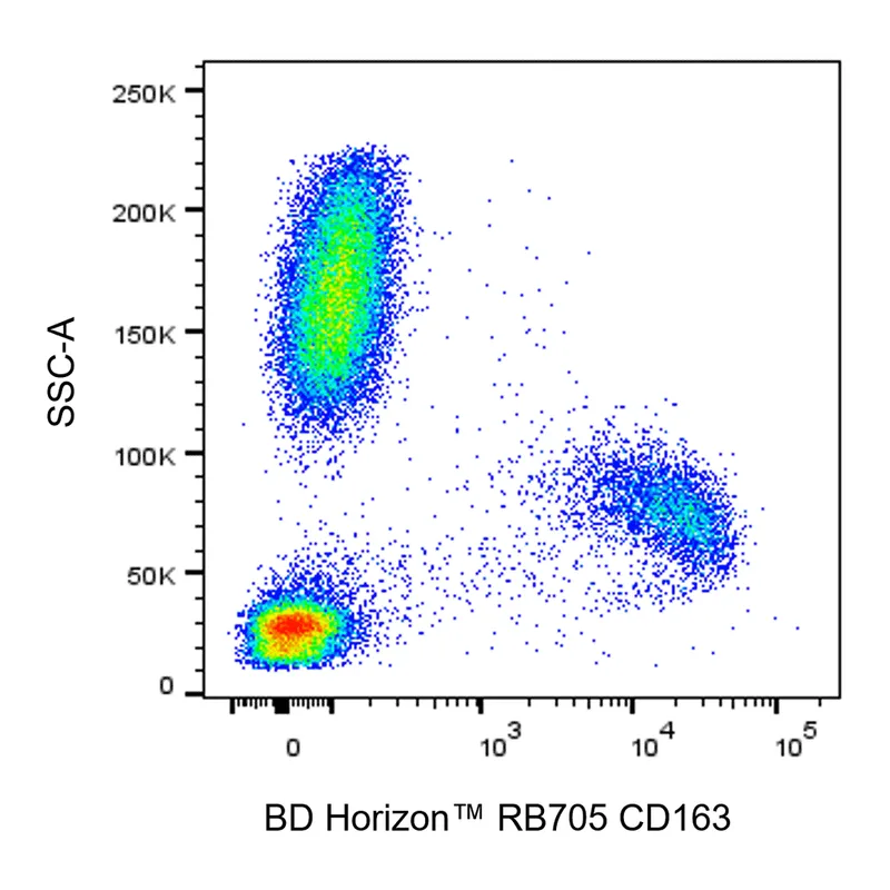 BD RB705 Mouse Anti-Human CD163