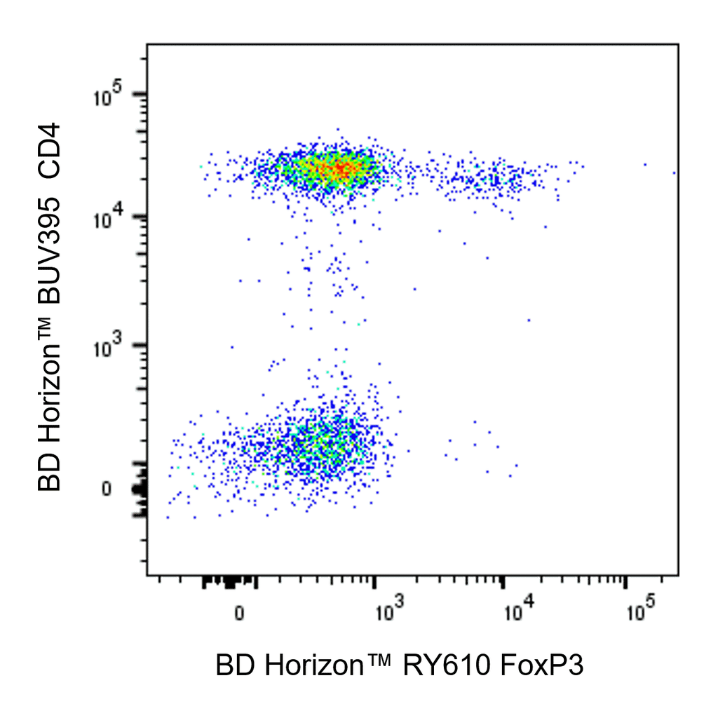 BD RY610 Mouse Anti-Human FoxP3