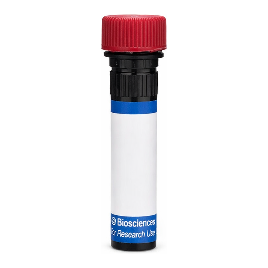 BD RB670 Biosimilar Anti-Human CD52