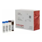 Thermo Fisher Scientific CD63 Human ProcartaPlex Simplex Kit