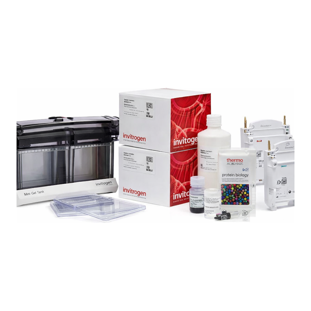 Thermo Fisher Scientific Novex WedgeWell Tris-Glycine Welcome Pack and Mini Blot Modules, 4-20%, 10-well, 1 kit