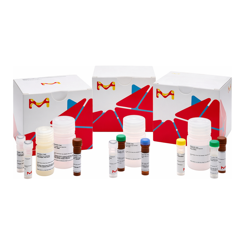 Merck ENTEROKINASE (ENTEROPEPTIDASE) ACTIVITY