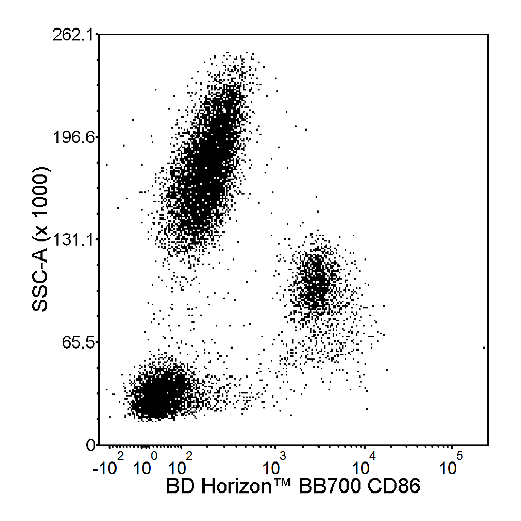 BD BB700 Mouse Anti-Human CD86