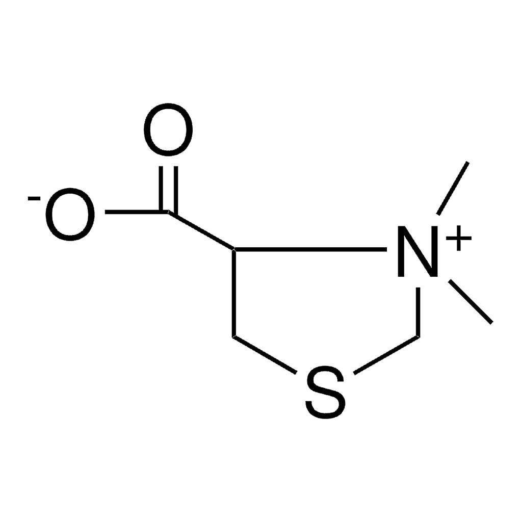 Merck 4-CARBOXY--3,3-DIMETHYLTHIAZOLID-