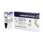 Thermo Fisher Scientific FastDigest Hin6I