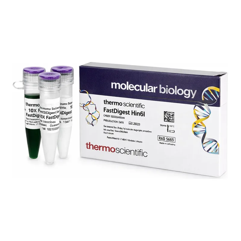 Thermo Fisher Scientific FastDigest Hin6I