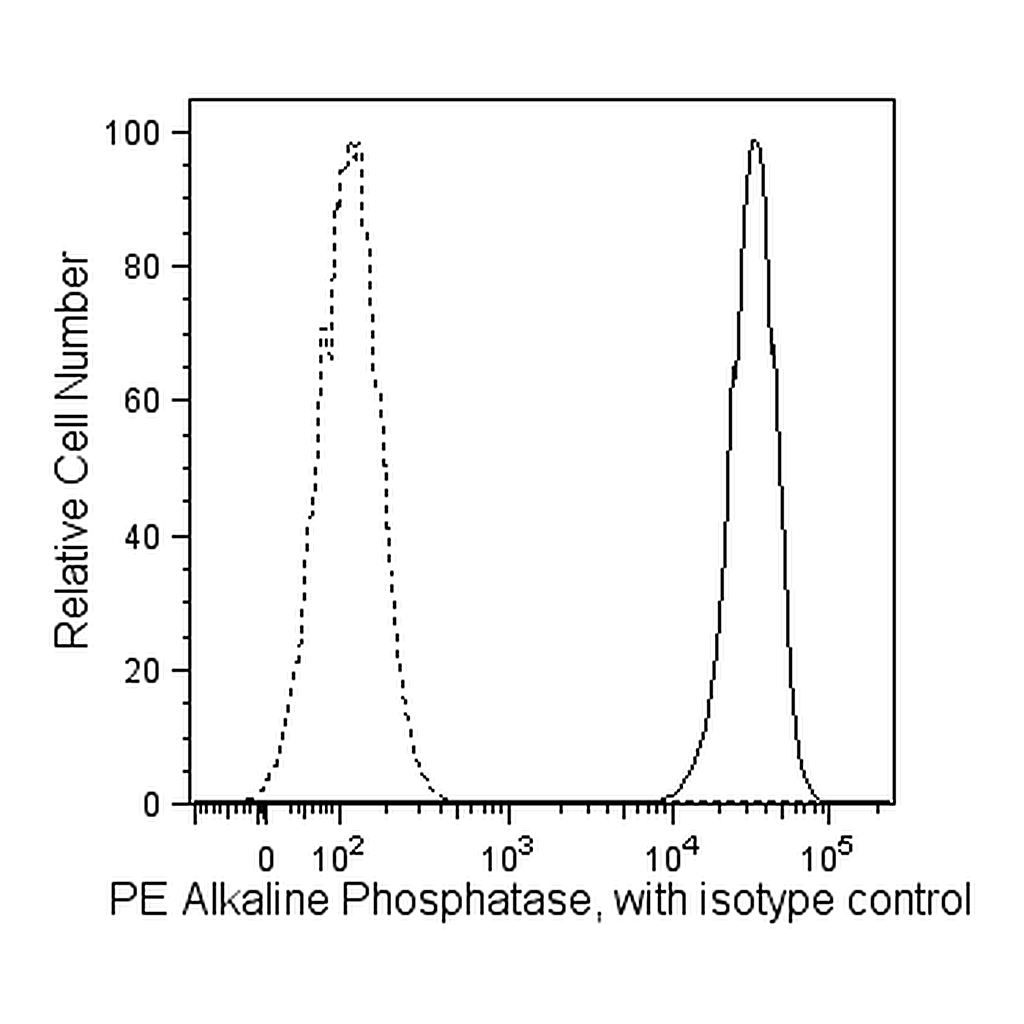 BD PE Mouse anti-Human Alkaline Phosphatase