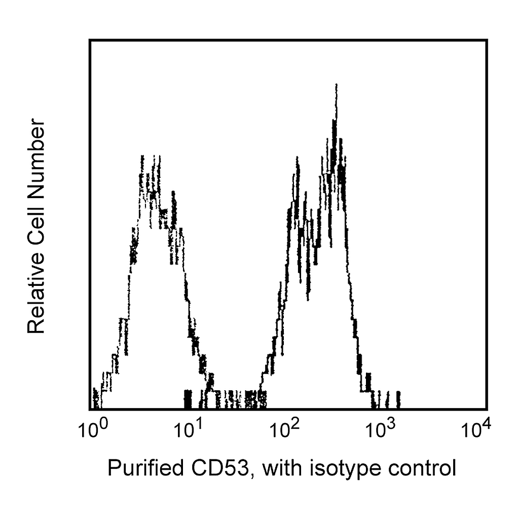 BD Purified Mouse Anti-Human CD53